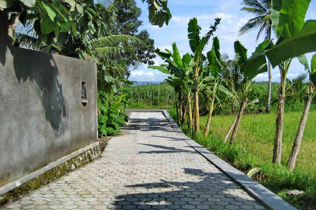 The Sawah Home Hotel 日惹 外观 照片